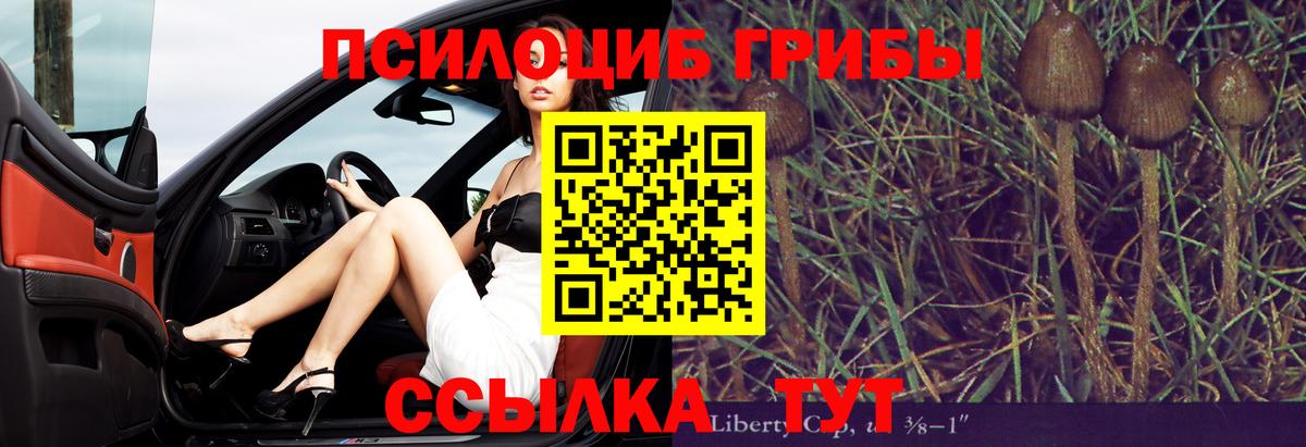 Псилоцибиновые грибы GOLDEN TEACHER Калининград